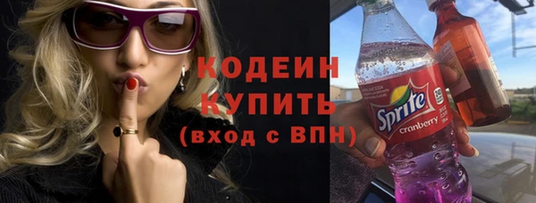 скорость Вяземский
