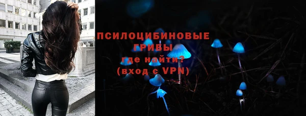 ПСИЛОЦИБИНОВЫЕ ГРИБЫ Волосово