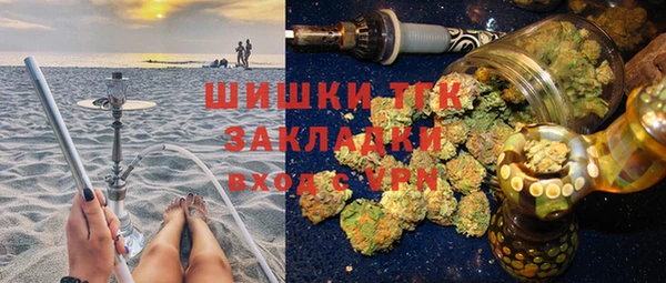 скорость Вяземский