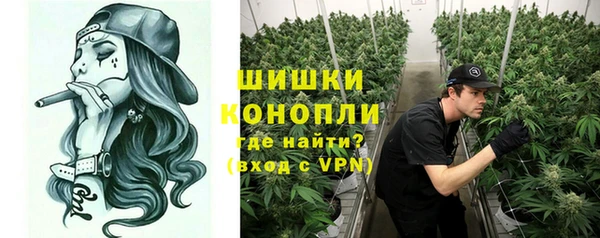 ПСИЛОЦИБИНОВЫЕ ГРИБЫ Волосово